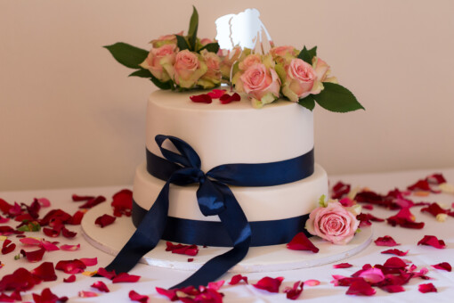 Ross and Tamaryn's Wedding